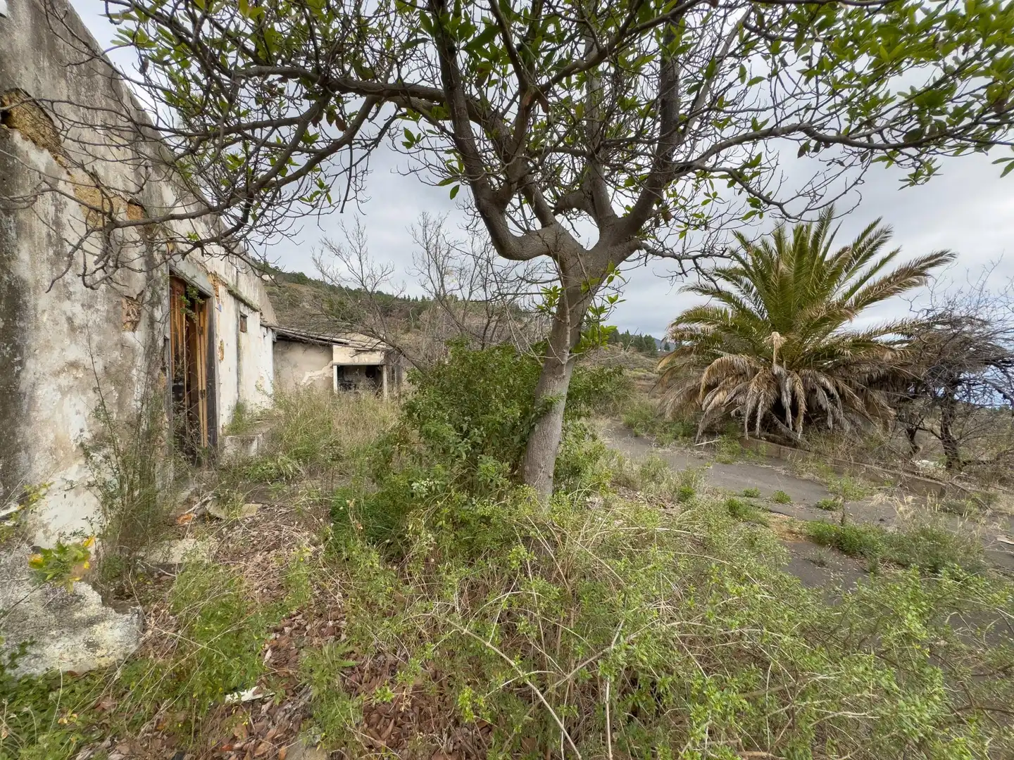 Country homes for sale in Arafo