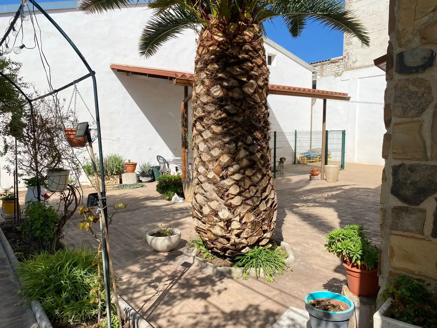 Jardí de Finca rústica en venda en Ciudad Real amb Aire condicionat, Calefacció i Piscina