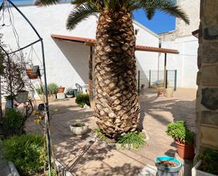 Jardí de Finca rústica en venda en Ciudad Real Capital amb Aire condicionat i Piscina