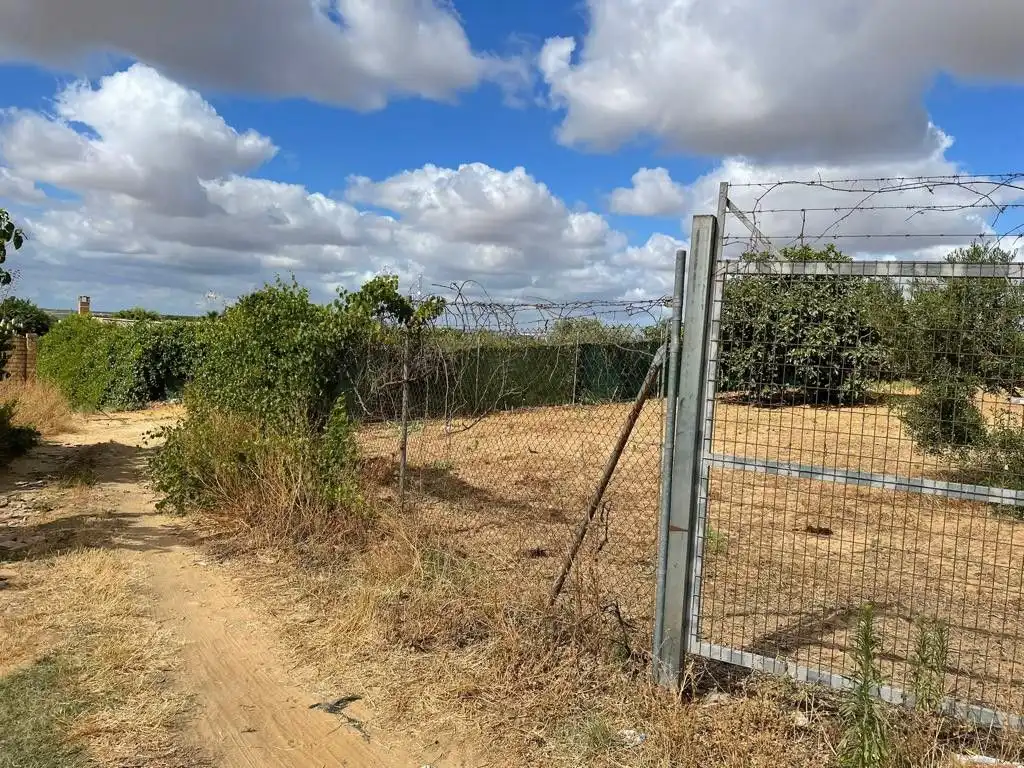 Terreny rústic en venda a Bollullos Par del Condado, imagen 7