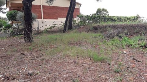 TERRENO EN CAN RIAL, imatge 2