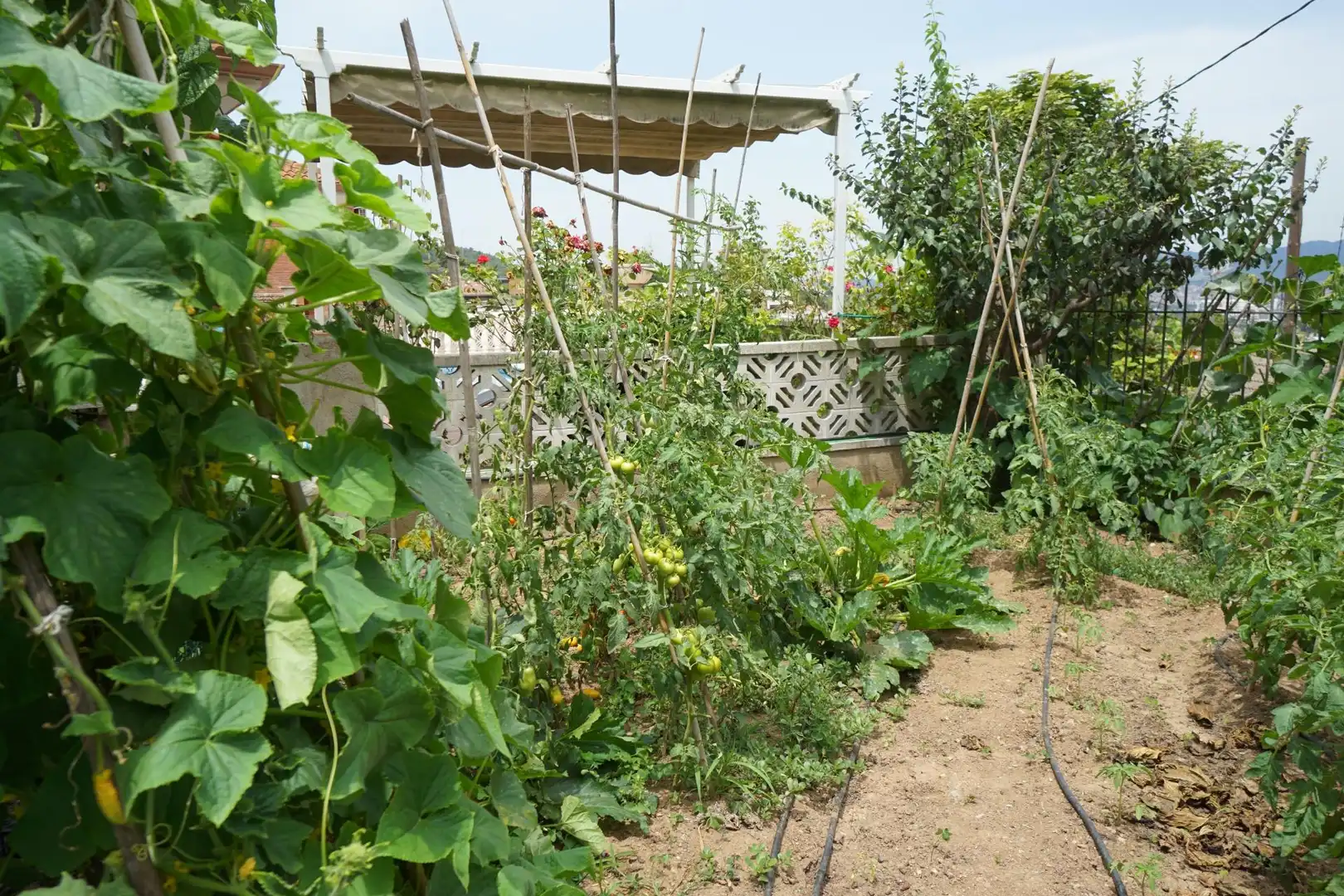 Garden of Houses for sale in Sant Boi de Llobregat  with Air Conditioner, Heating and Swimming Pool