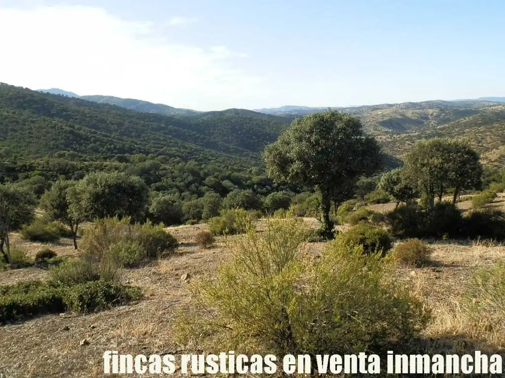 Rustikales Grundstück zum Verkauf in Avenida Ciudad Real Pol N 7, imagen 4