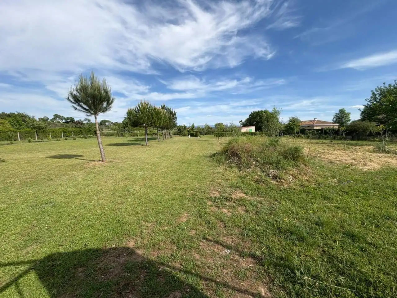 Terreno residenziale in vendita a Poligono 24, imagen 16