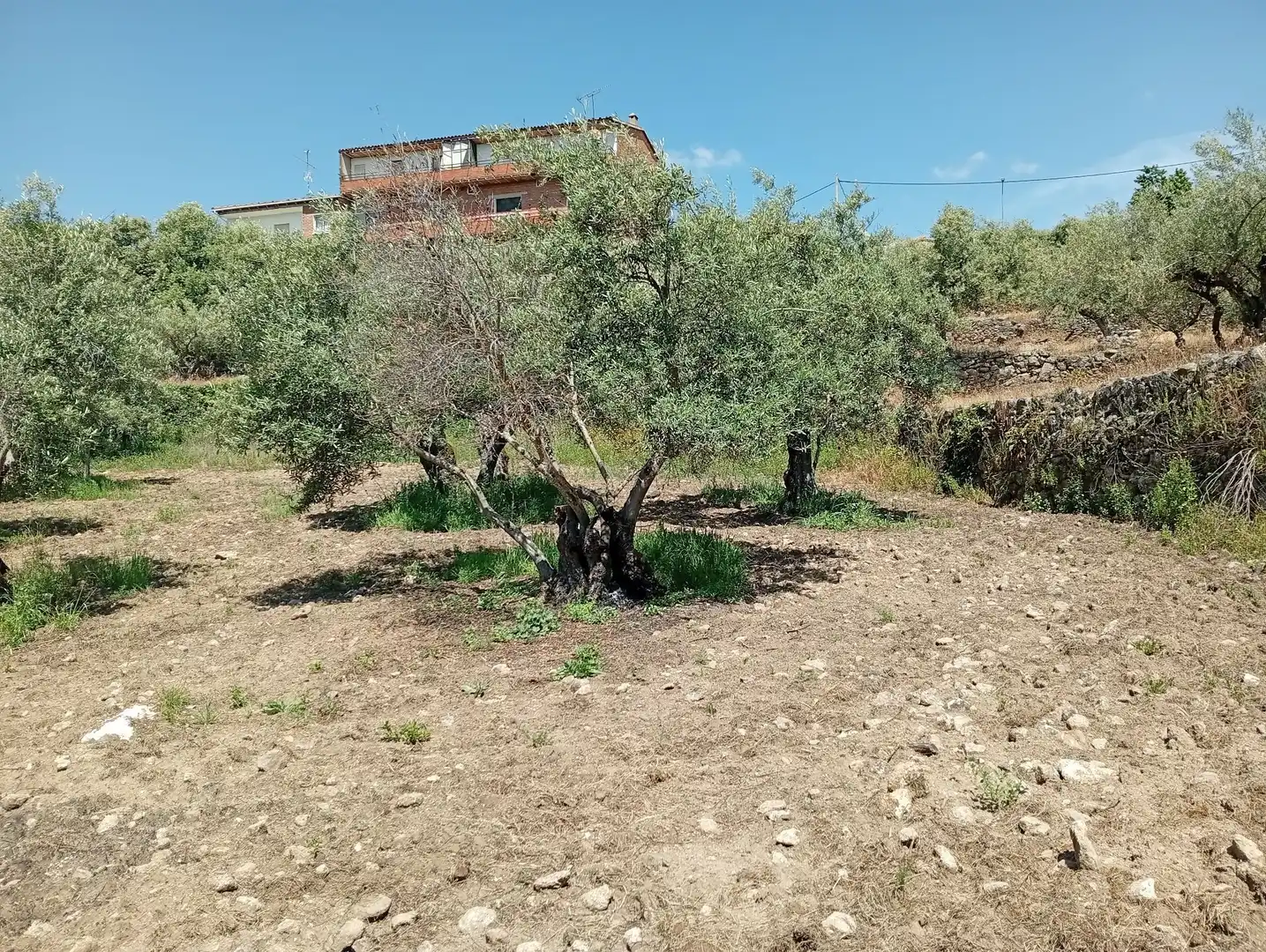 Terreni e lotti in vendita a Villanueva de la Vera, imagen 65