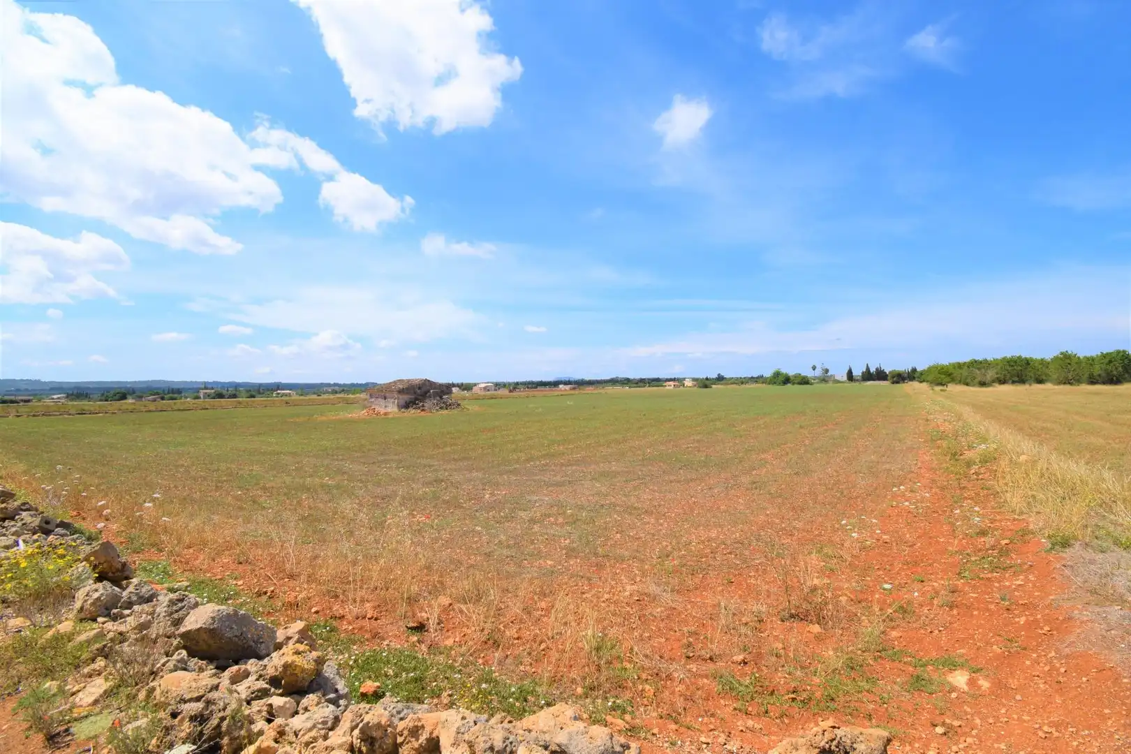 Finca rústica en venda a Llubí
