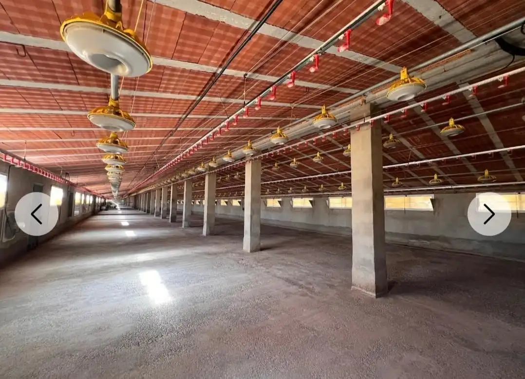 Vista exterior de Nave industrial en venta en Andilla