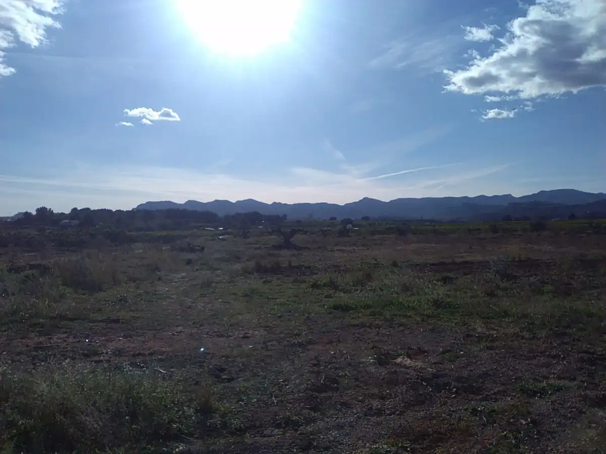 Terreno rústico en venta en Alfara de la Baronia, imagen 4