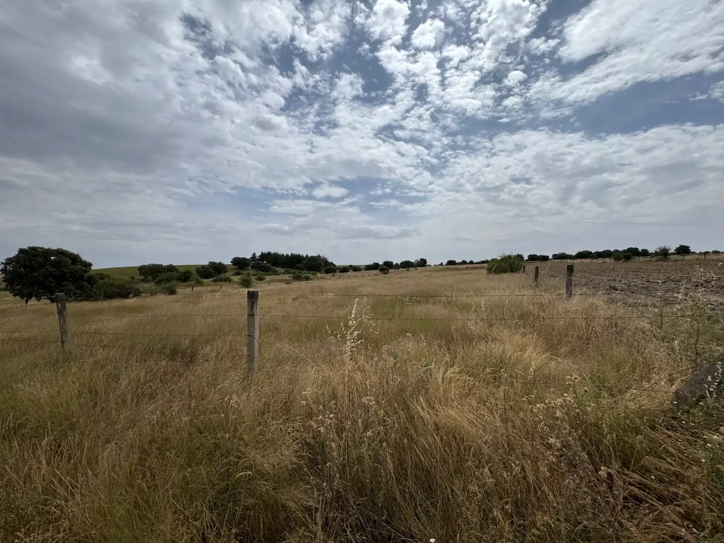 Terreno en venta en Añover de Tormes