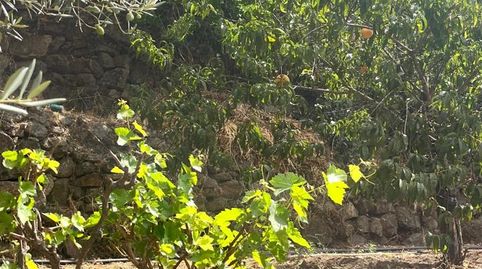 Foto 2 de Casa o xalet en venda a Calle Viñillas, Tornavacas, Cáceres