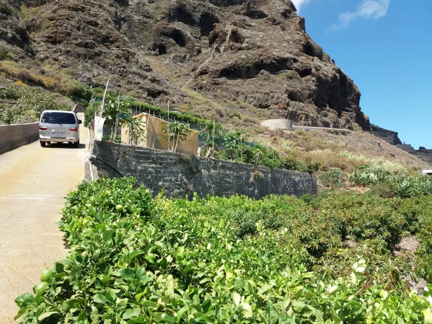 Terreno en venta en Prolongacion Primera a Carracote, 158, Buenavista del Norte