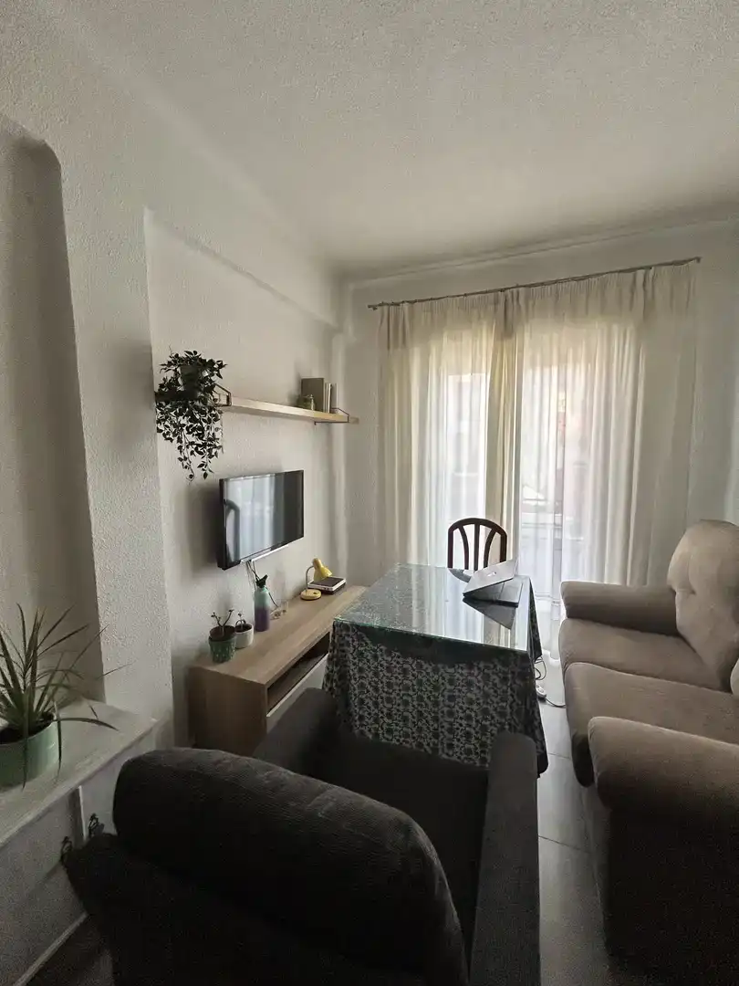 Sala d'estar de Pis de lloguer en Zaidín