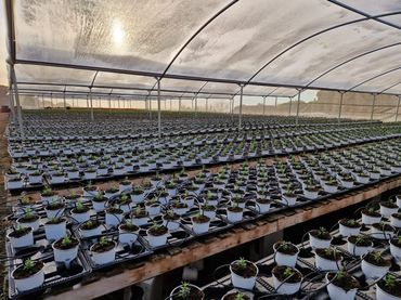 Terrenys i solars en venda a Urbanitzacions
