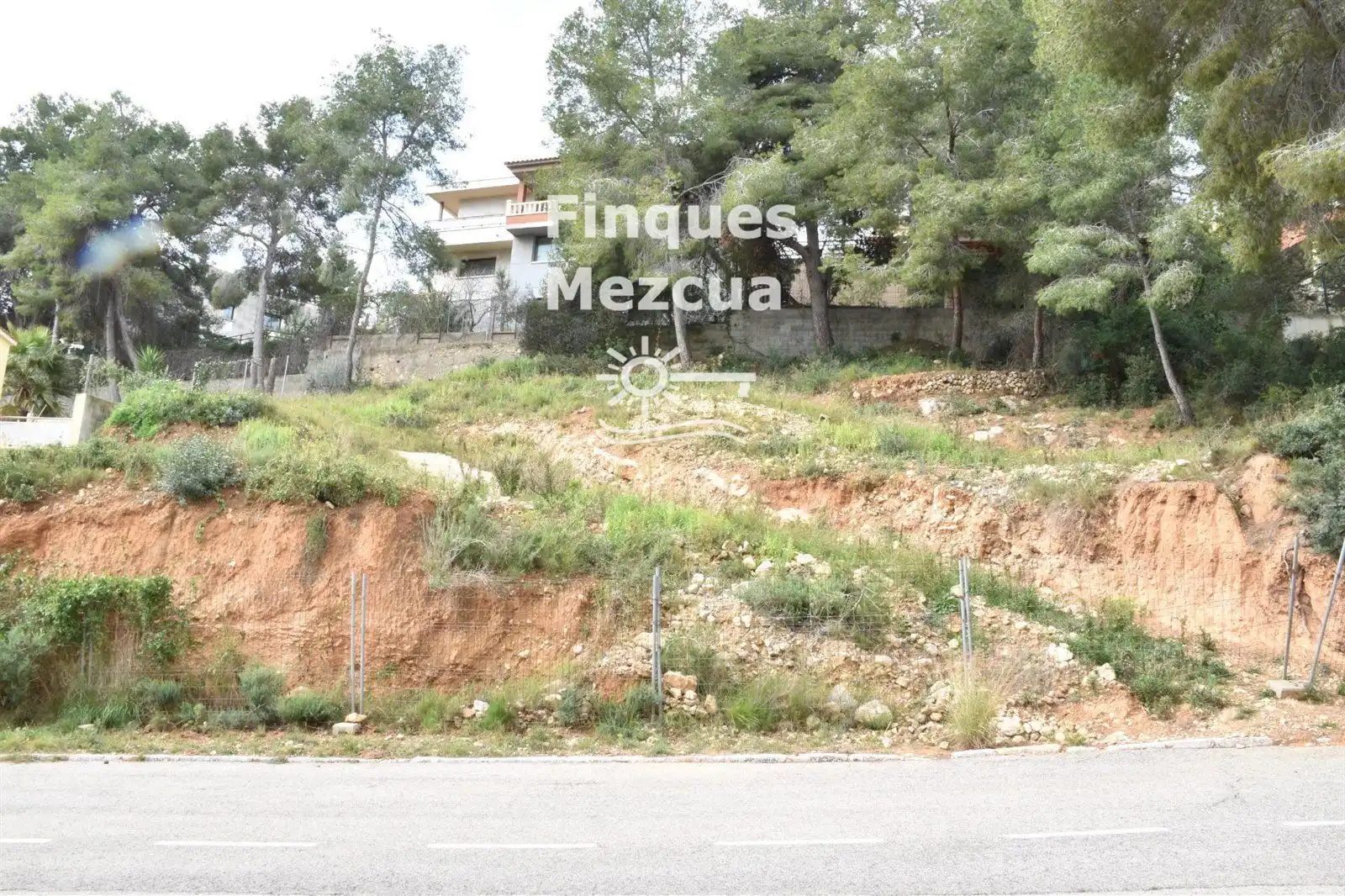 Rural land for sale in GLADIOL, imagen 11