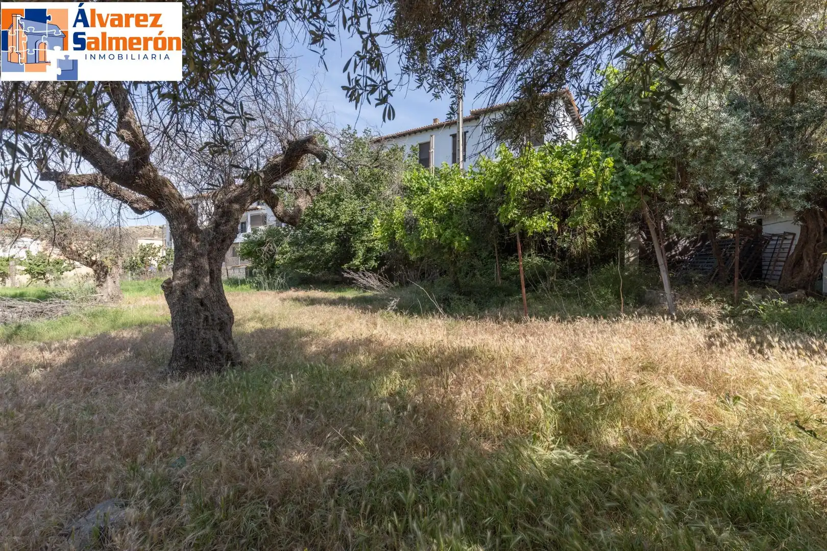 Lands and plots for sale in Carretera de Maitena, imagen 8