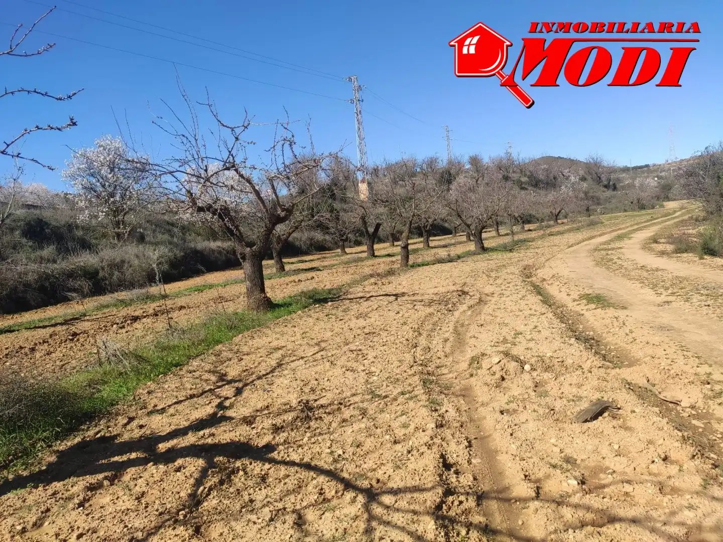 Terrenys i solars en venda a Villamena
