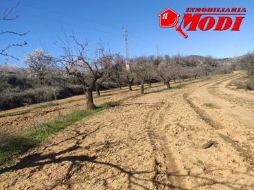 Terreni e lotti in vendita a Villamena