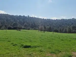 Country homes for sale in Santa Maria d'Oló
