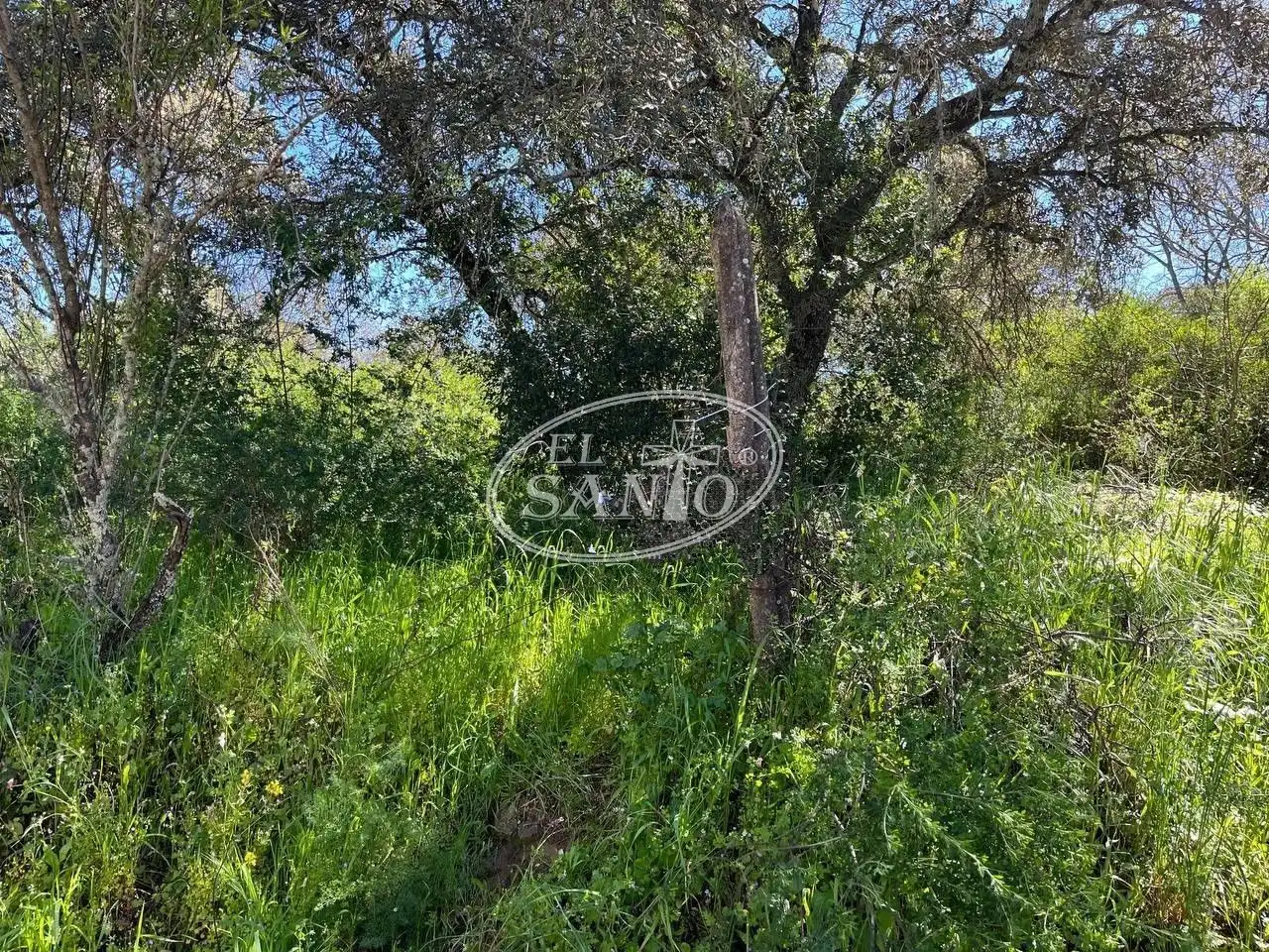 Grundstücke und Bauplätze zum Verkauf in DE LOS ALMENDROS, imagen 3