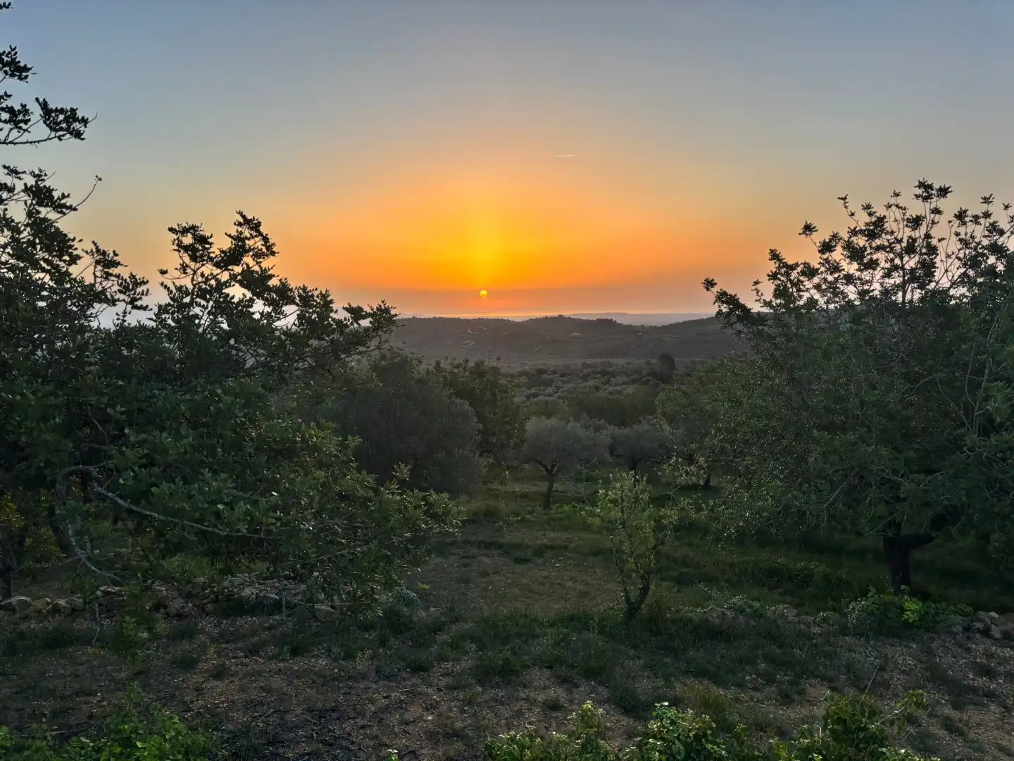 Terreno en venta en Canet lo Roig