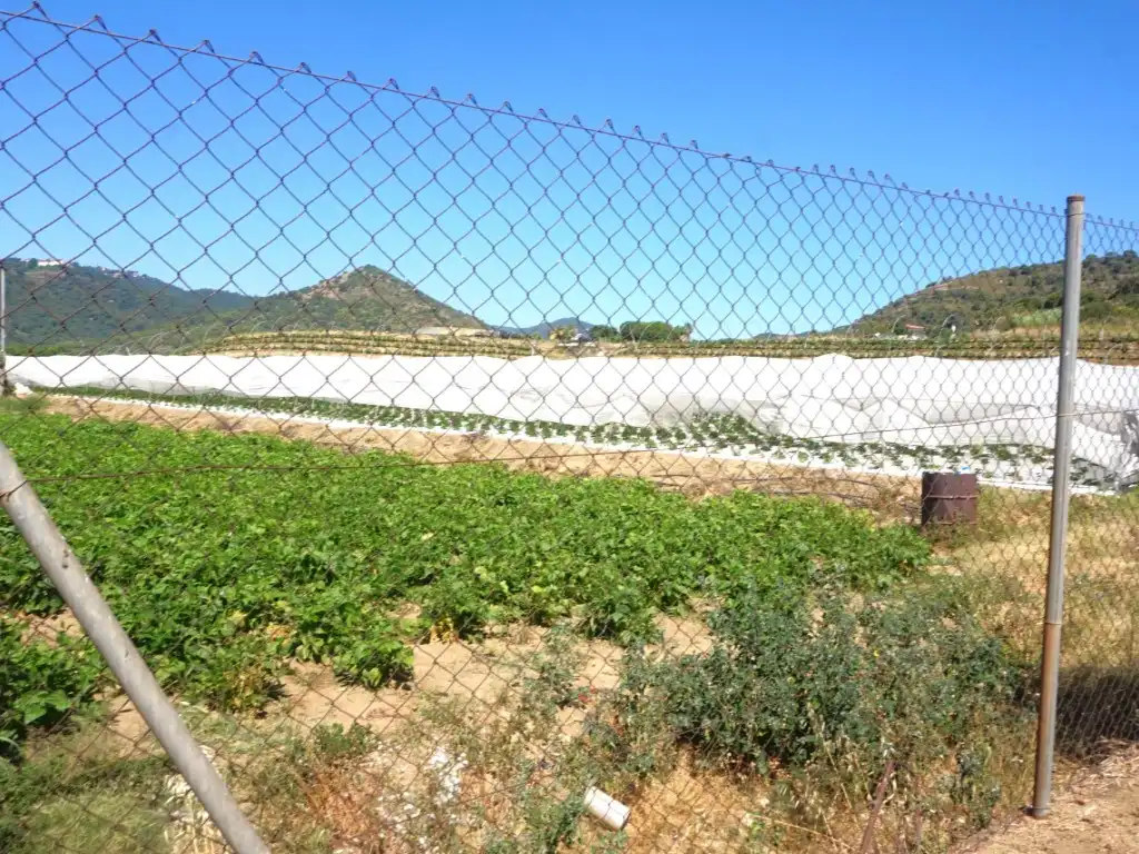 Garden of Houses for sale in Pineda de Mar