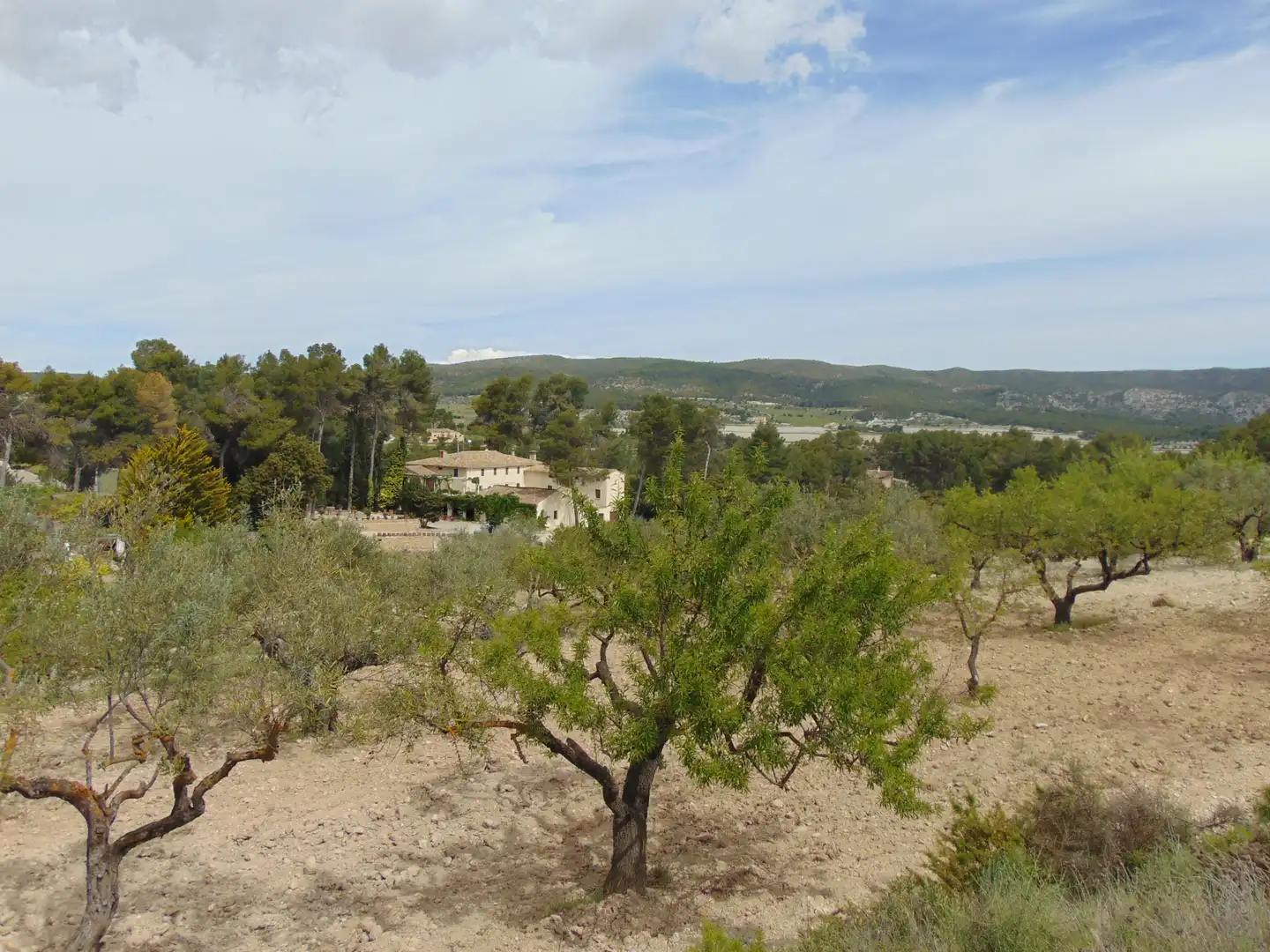 Casa rustica con piscina in vendita a Partida Polop Baix, imagen 69