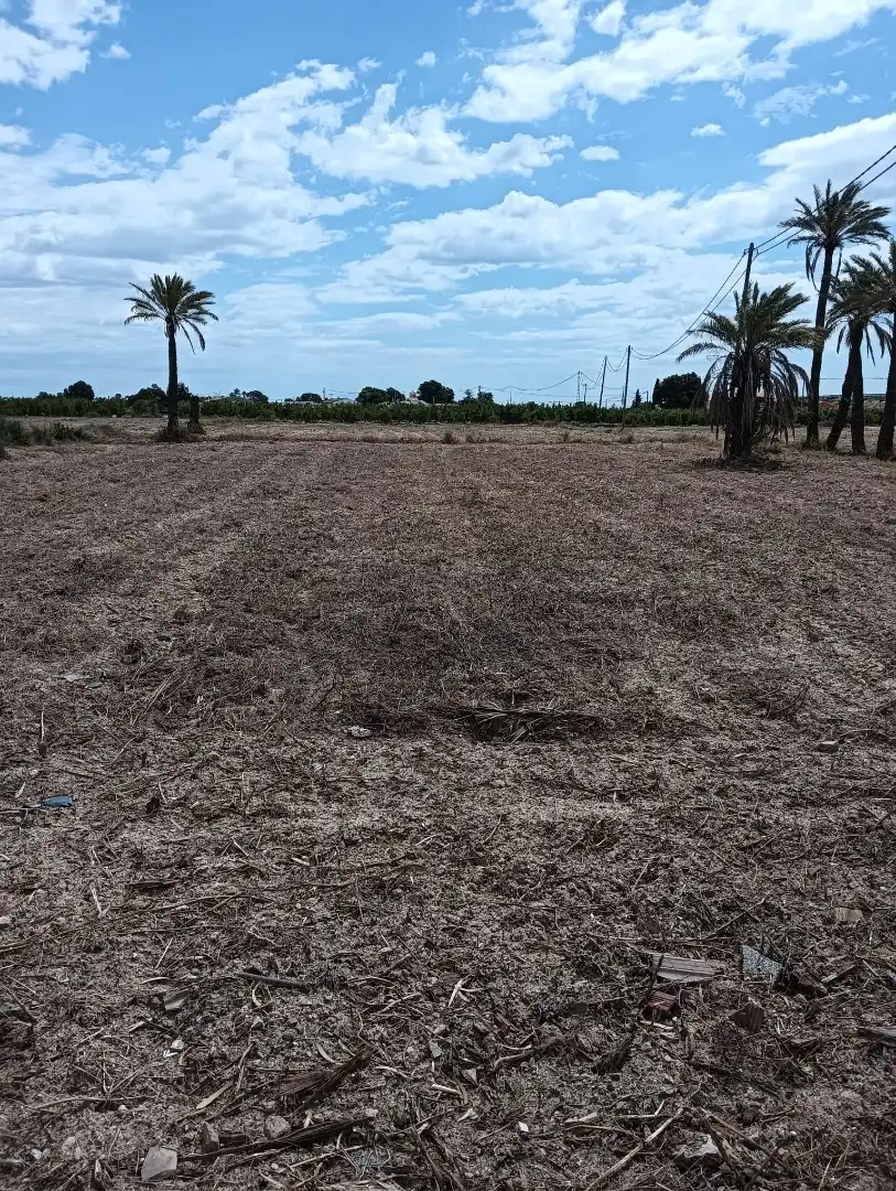 Terreno en venta en Elche / Elx