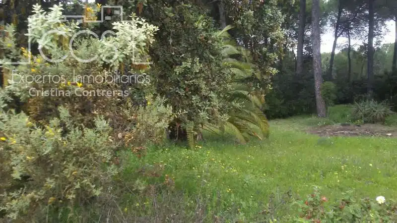 Casa rústica en venda a Almonte ciudad, imagen 10