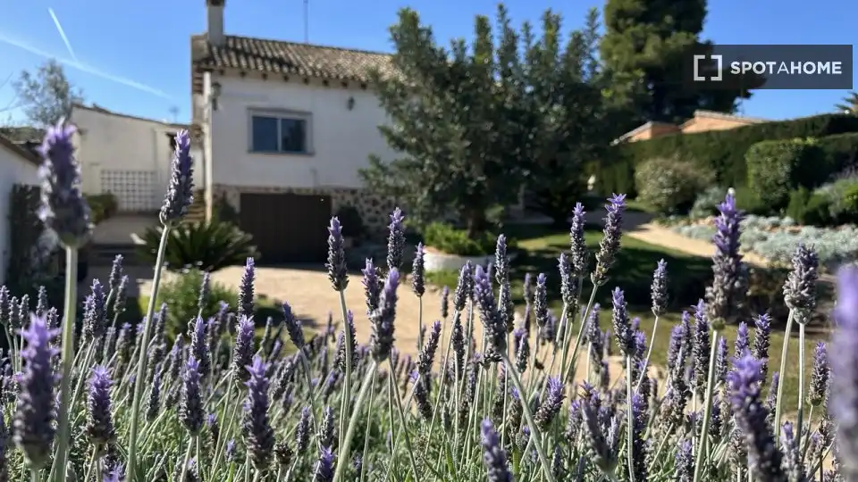 Jardí de Pis de lloguer en L'Eliana amb Aire condicionat, Calefacció i Moblat
