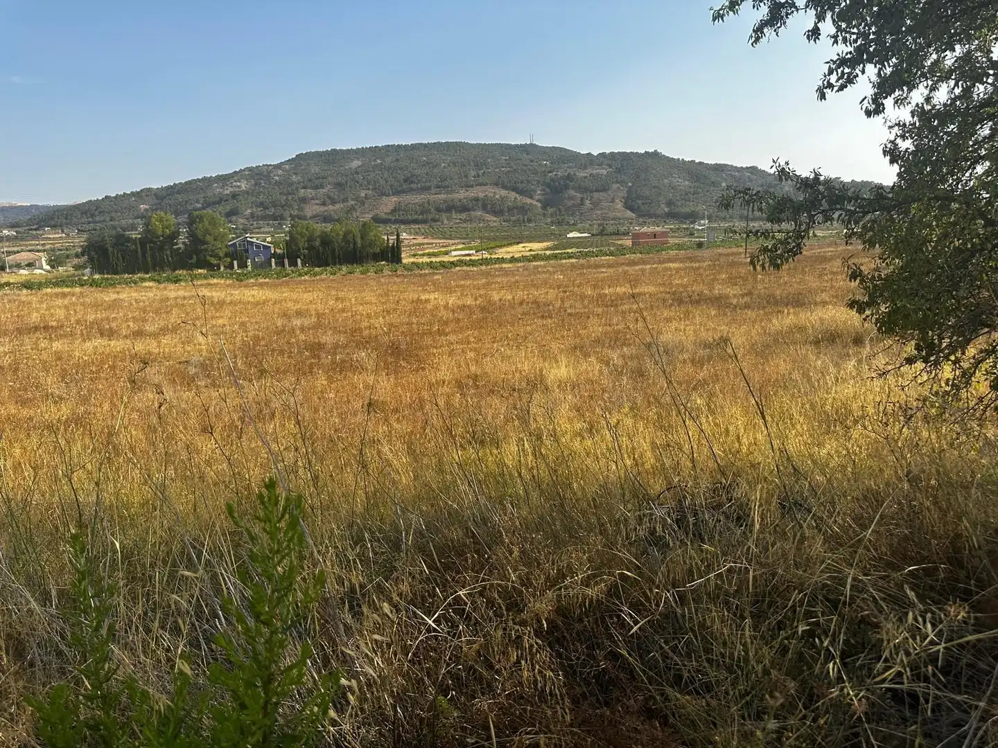 Residential land for sale in El Pinós / Pinoso, imagen 15