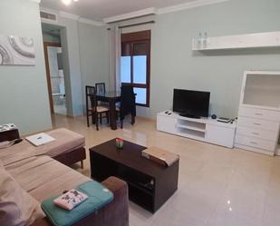 Sala d'estar de Pis de lloguer en Guadix amb Aire condicionat