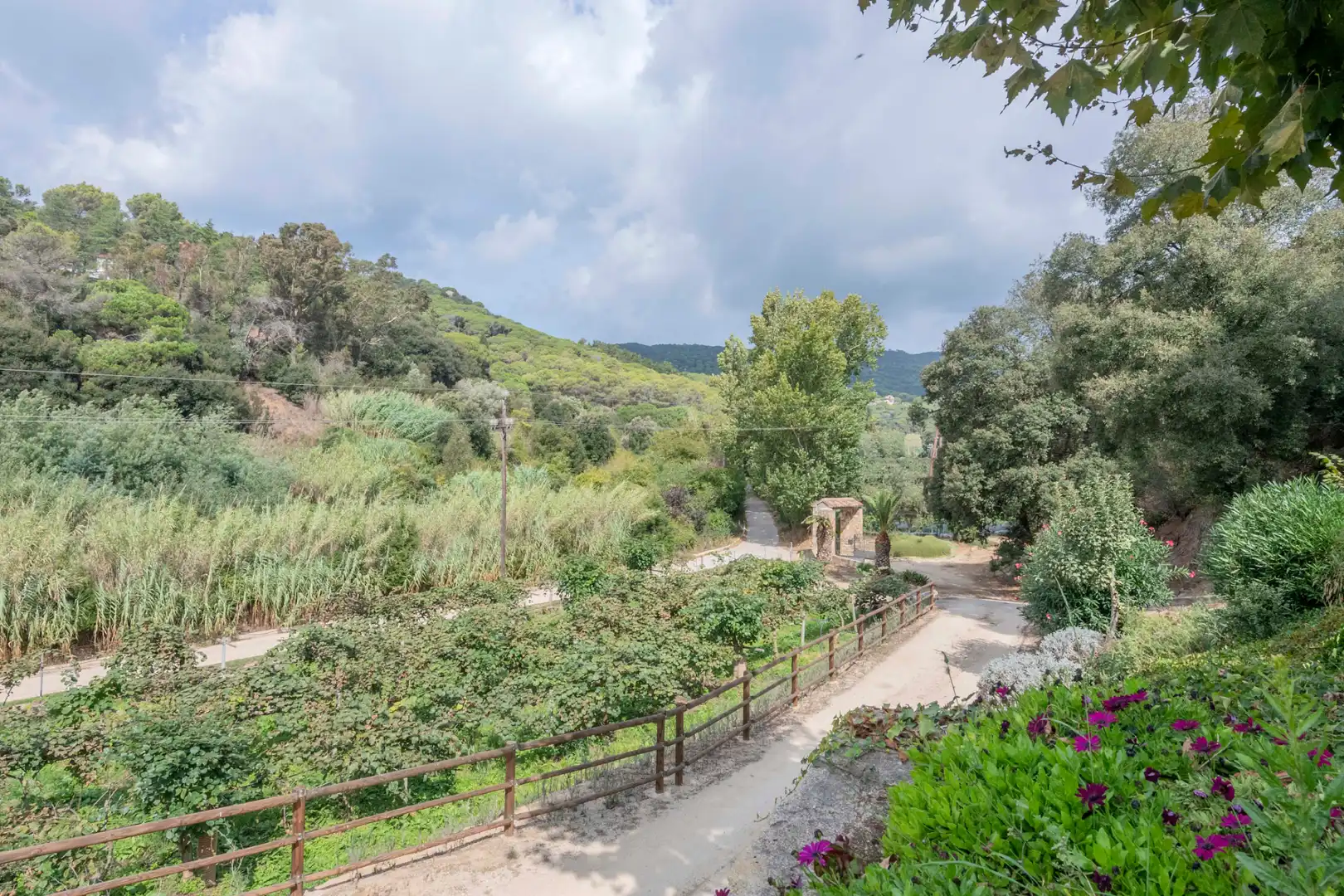 Casa rústica con piscina en venta en Camí Can Cabot de Munt, imagen 14