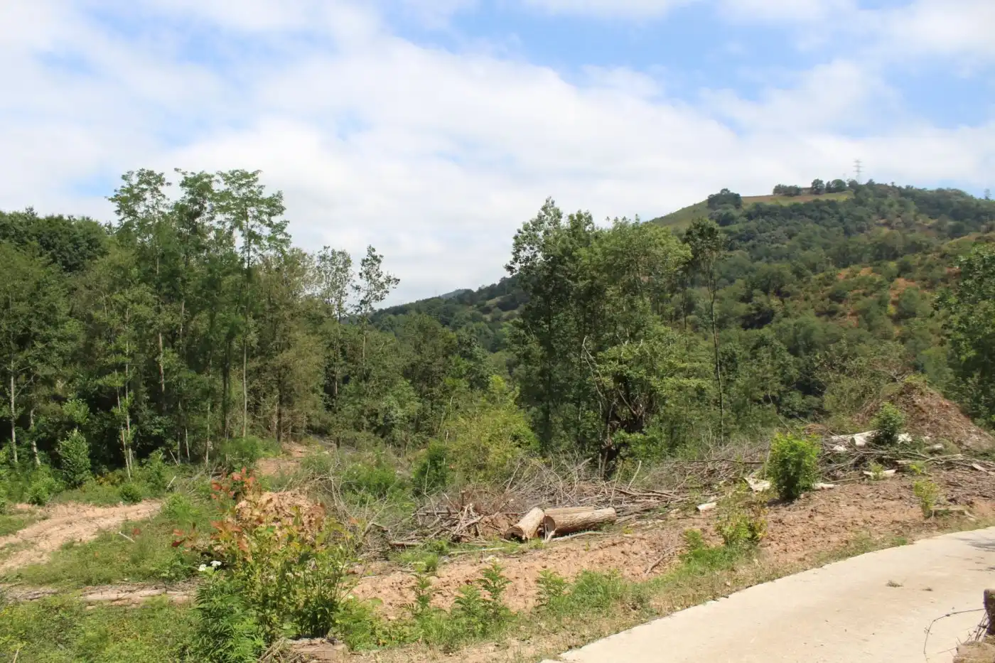 Finca rústica en venta en Sunbilla