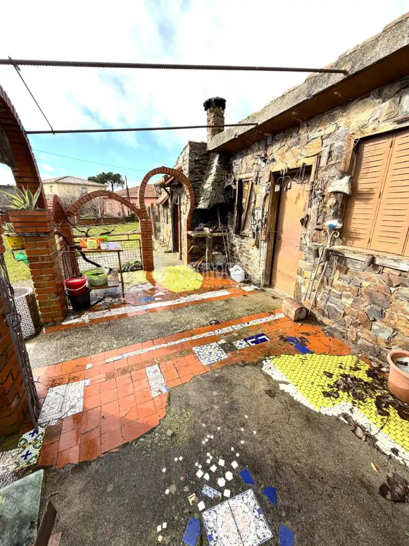 Garden of Residential for sale in Torrelaguna