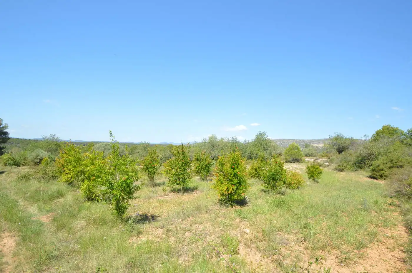 Terreno rustico in vendita a Carrer Malentivet, imagen 6