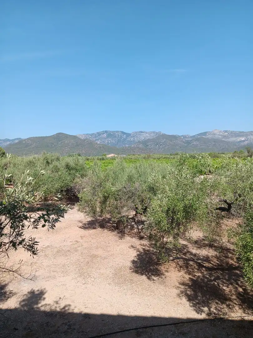 Lands and plots for sale in Roquetes, imagen 39