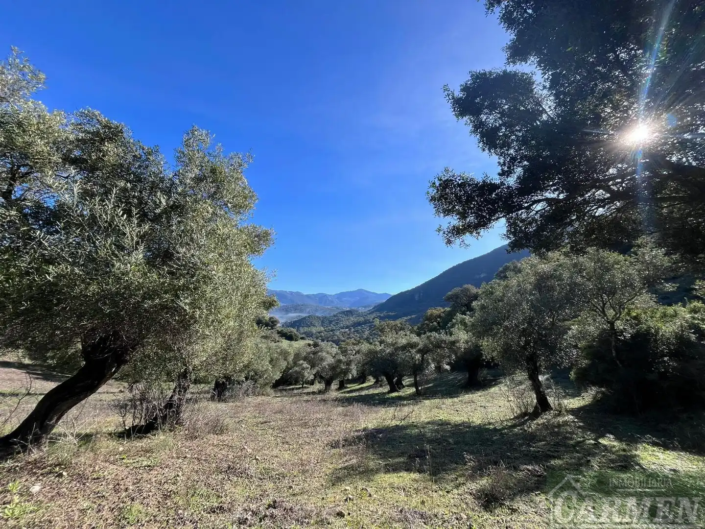 Finca rústica en venda en El Bosque