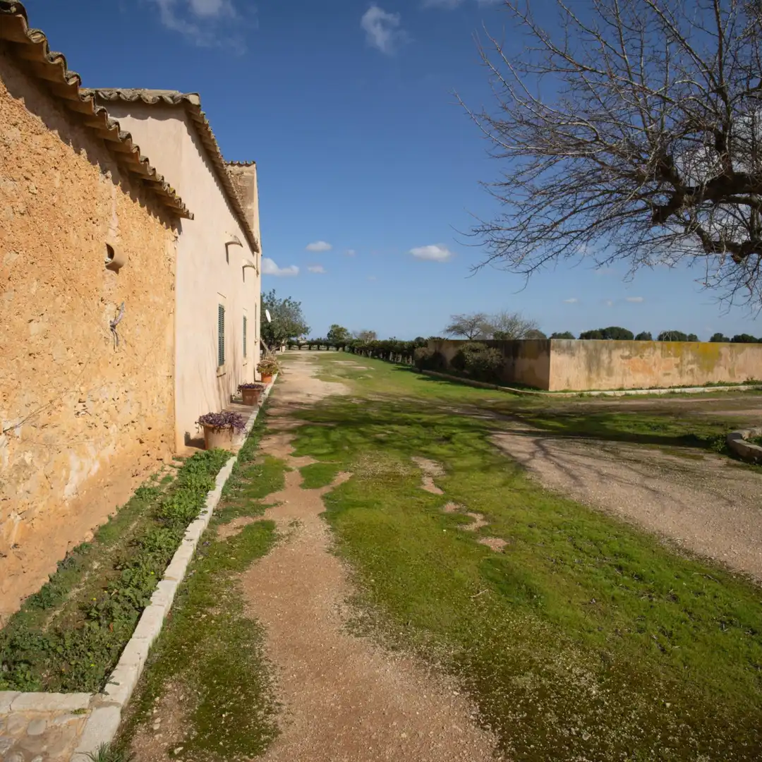 Maison avec jardin à vendre à Inca - Carrer del Rei, imagen 38