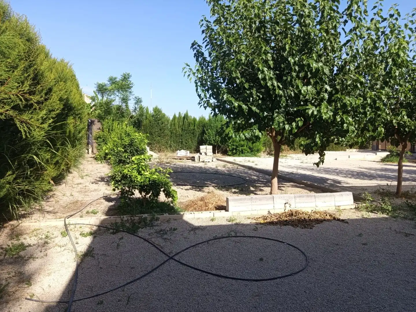 Terreno en venta en Murcia