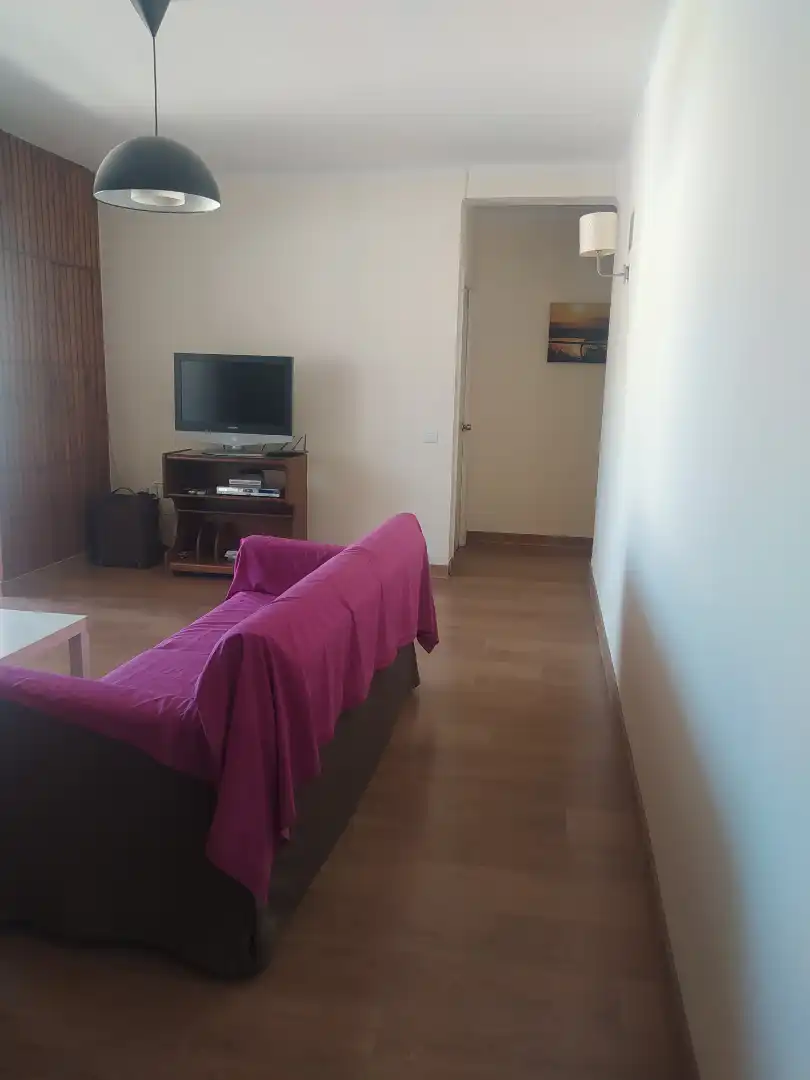 Sala de estar de Piso de alquiler en Málaga con Amueblado