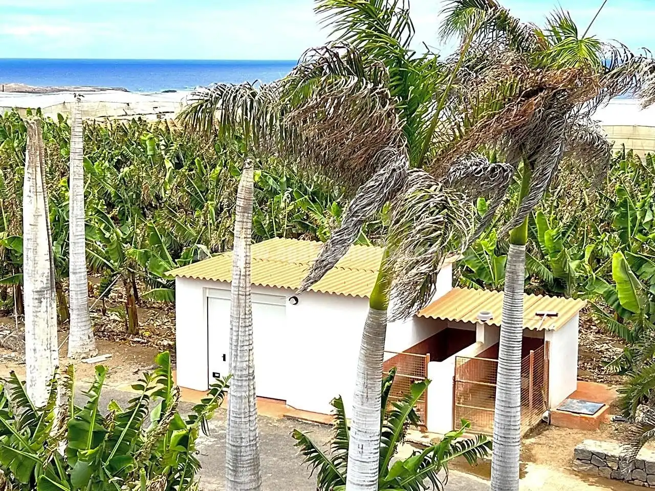 Vista exterior de Finca rústica en venta en Los Silos con Jardín privado y Terraza