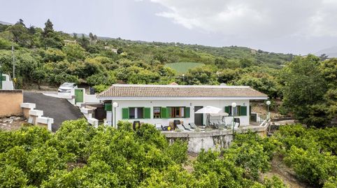 Foto 4 de Finca rústica en venta en La Perdoma - San Antonio - Benijos, La Orotava