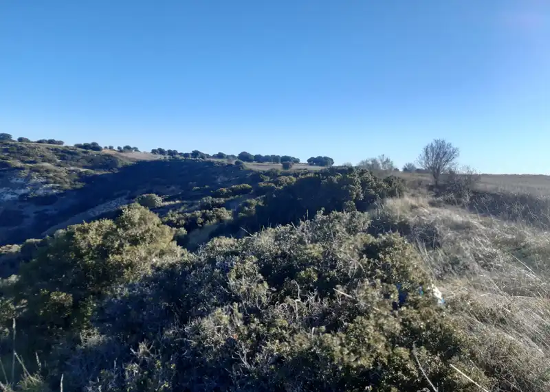 Land for sale in Alcalá de Henares