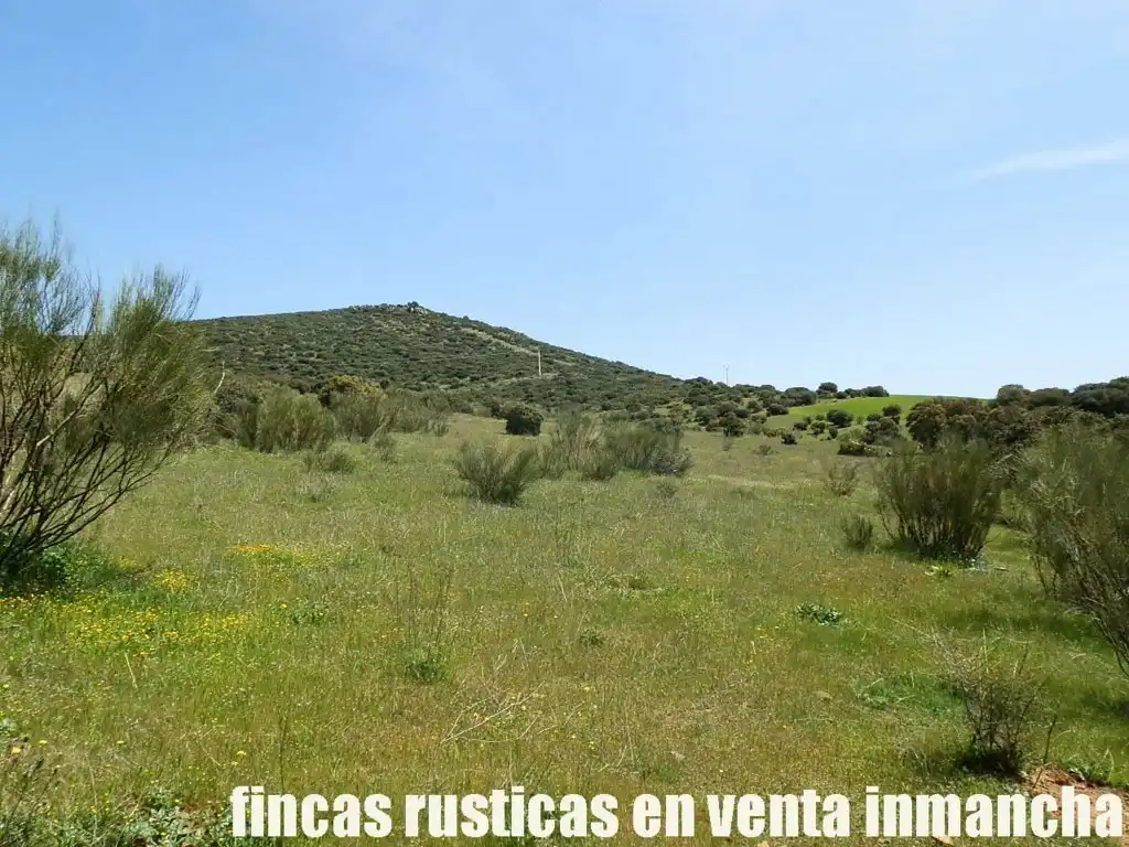 Rural land for sale in Calzada de Calatrava, imagen 12