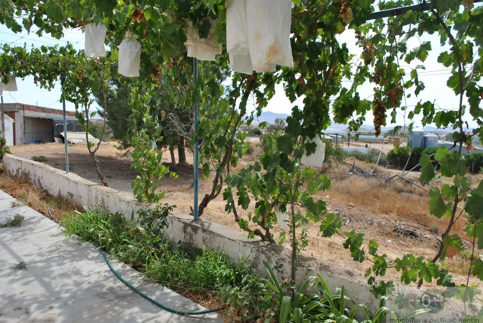 Jardí de Casa o xalet en venda en Lorca