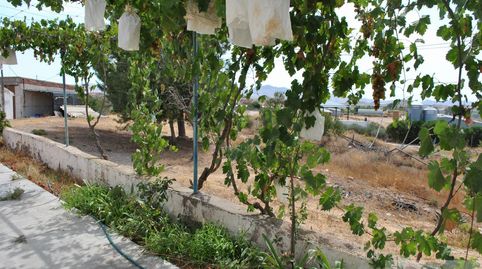 Photo 5 of Houses for sale in Almendricos, Lorca