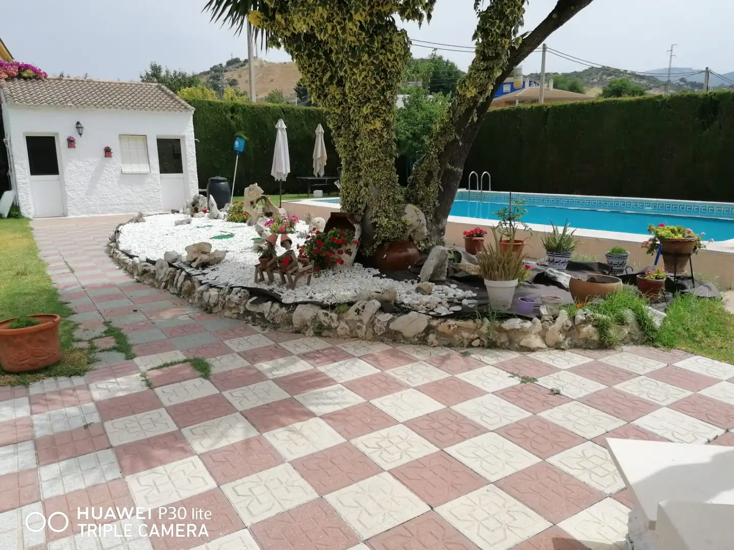 Terreno rustico in vendita a Cabra, imagen 4