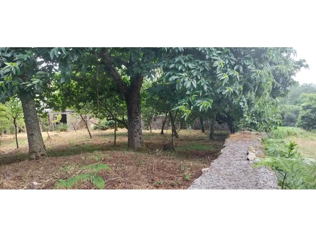 Casa rústica en venda a Lugar Vilar Do Xestal-Noceda, imagen 33