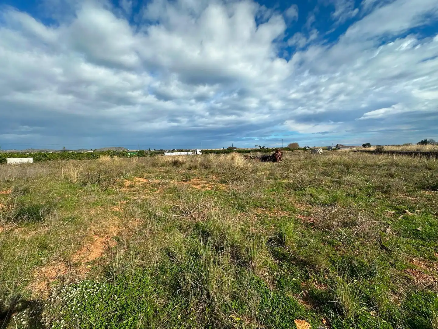 Rural land for sale in Pego, imagen 5