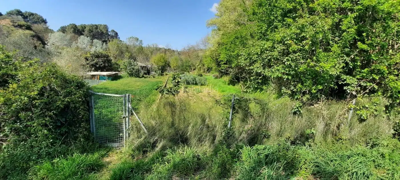 Terrain rustique à vendre à Carrer Martorell 115, imagen 10